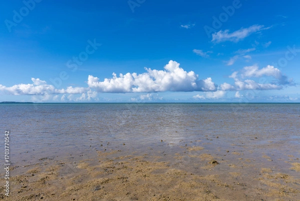 Obraz 西表島のクーラ橋付近の浜辺から見た景色、8月