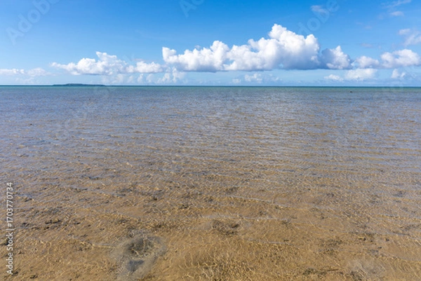 Obraz 西表島のクーラ橋付近の浜辺から見た景色、8月