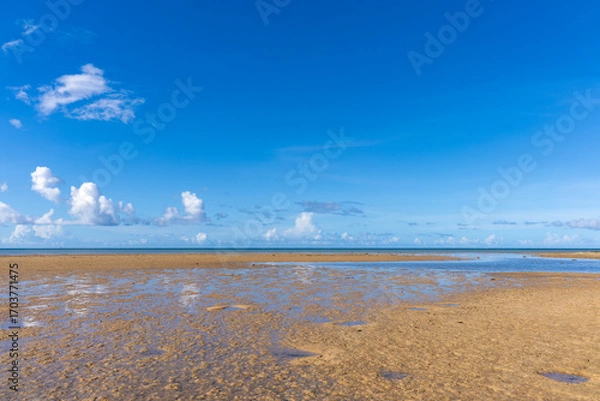 Obraz 西表島のクーラ橋付近の浜辺から見た景色、8月