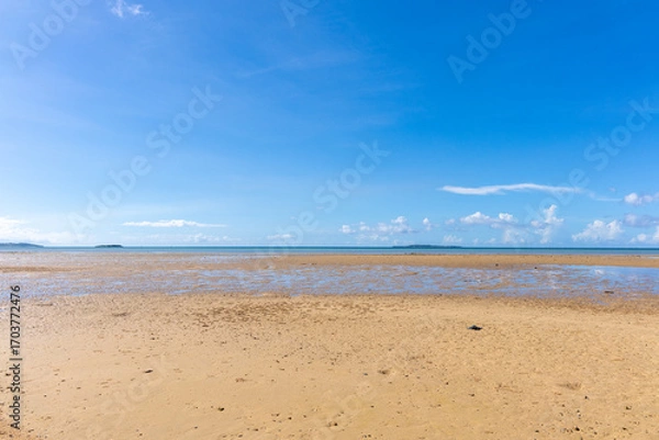 Obraz 西表島のクーラ橋付近の浜辺から見た景色、8月