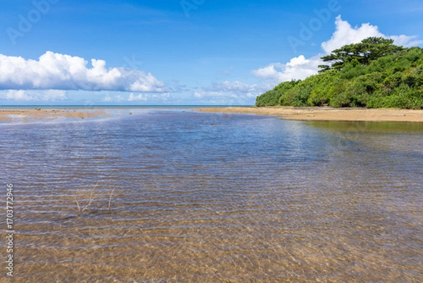 Obraz 西表島のクーラ橋付近の浜辺から見た景色、8月