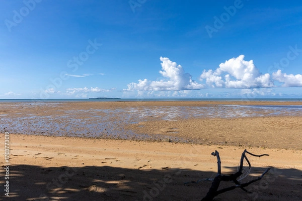 Obraz 西表島のクーラ橋付近の浜辺から見た景色、8月