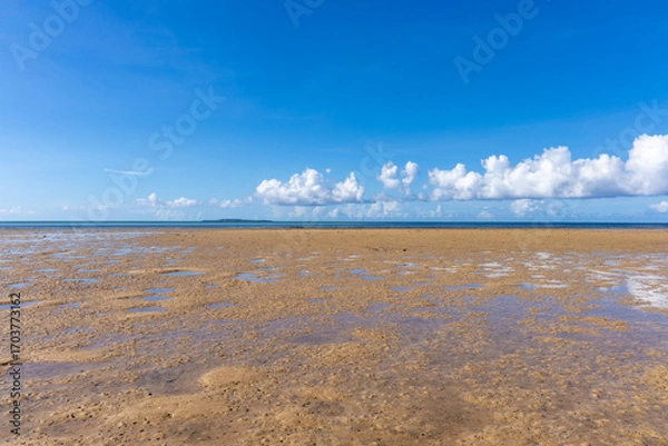 Obraz 西表島のクーラ橋付近の浜辺から見た景色、8月