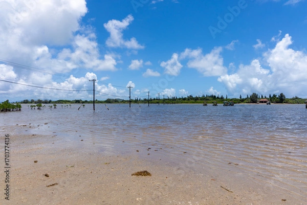 Obraz 由布島の対岸からの景色、8月、沖縄