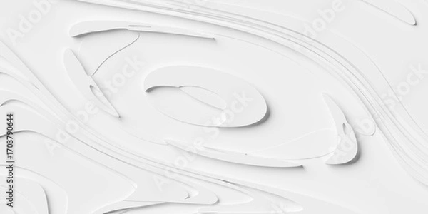 Fototapeta White organic wave or curve shapes geometrical background wallpaper banner pattern flat lay from above