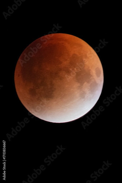 Obraz moon eclipse, blood moon