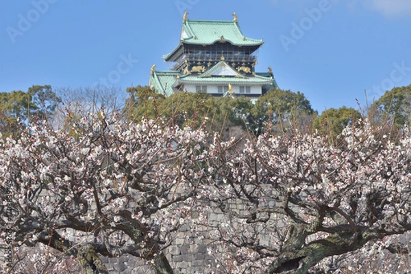 Obraz 大阪城の梅