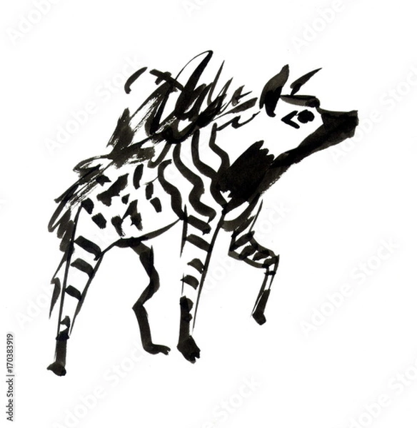 Fototapeta Рисунок тушь кистью "Гиена"