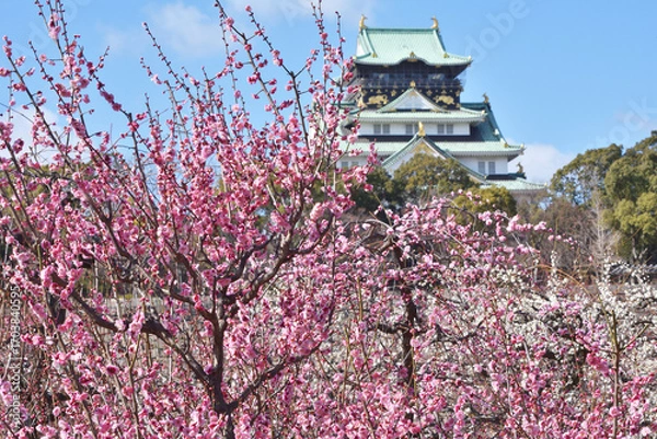 Obraz 大阪城の梅