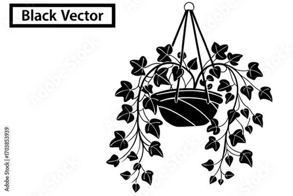 Obraz Black silhouette of a hanging potted plant with trailing vines
