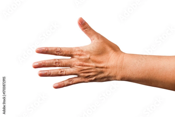 Fototapeta handshake, hand gesture or finger gesture, hand sign isolated on transparent background