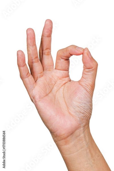 Fototapeta okay or oke hand gesture or finger gesture, hand sign isolated on transparent background