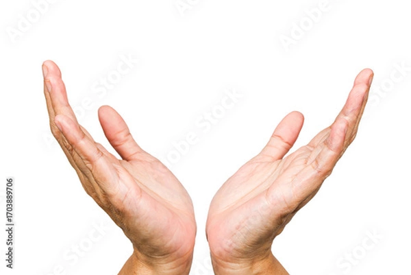 Fototapeta two hand open, charity, hand gesture or finger gesture, hand sign isolated on transparent background