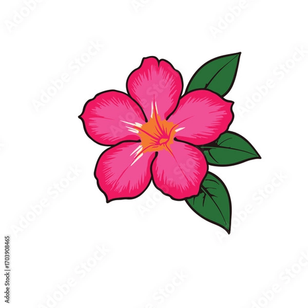 Fototapeta Vector Illustration of Adenium Flower (Desert Rose) in Bright Pink Color with Green Leaves