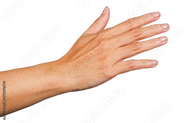 Fototapeta hand touch something, hand gesture or finger gesture, hand sign isolated on transparent background