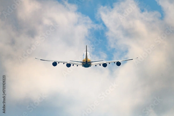 Obraz 美しい空・雲・気象現象を背景に飛行する航空機　夕空　朝　夕日