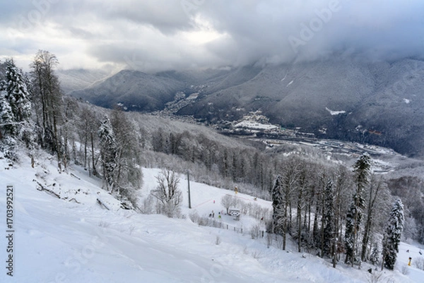Fototapeta A view of misty mountains through snowy trees