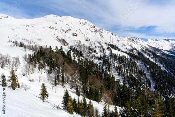 Fototapeta A ski resort with snow-capped peaks and mountains covered with forest.