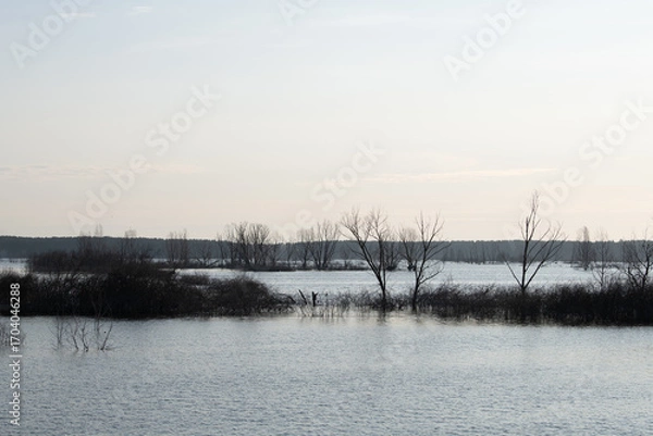 Fototapeta A serene landscape features a flooded area with bare trees rising from the water. The shoreline is visible in the distance under a soft, overcast sky during the late afternoon