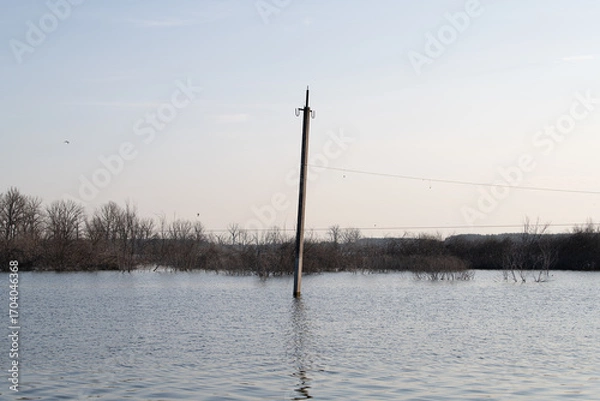 Fototapeta In early morning light, a utility pole stands partially submerged in a wide expanse of floodwater, with bare trees visible in the background. Calm water reflects the serene atmosphere