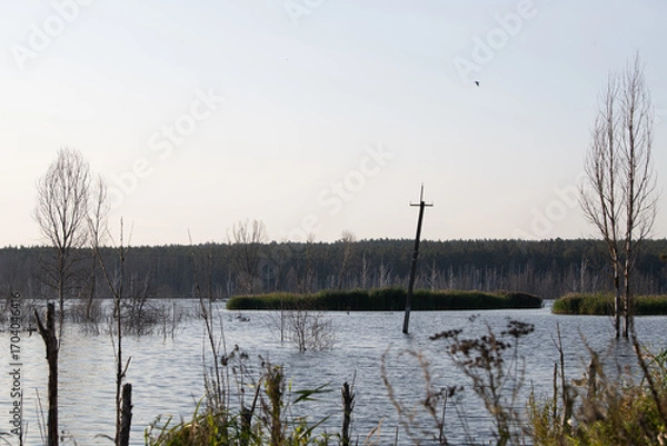 Fototapeta Water covers the land, creating a serene yet desolate atmosphere. A power pole stands isolated in the flooded area, surrounded by bare trees and lush greenery in the background