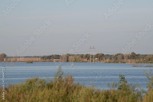 Fototapeta Calm water reflects the clear sky while lush greenery borders the lake. Nearby, power lines stretch across the horizon, adding a touch of industry to the serene nature