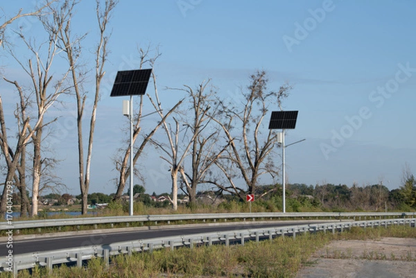 Fototapeta Two solar panels stand tall next to a winding rural road, surrounded by barren trees. The scene captures a peaceful environment on a clear day, with a hint of distant hills