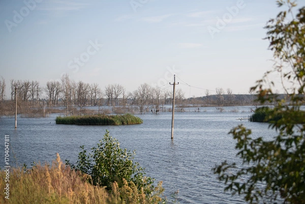 Fototapeta A vast body of water covers the ground, revealing patches of grass and submerged trees. Tall poles emerge from the water under a clear blue sky. It captures the aftermath of recent flooding