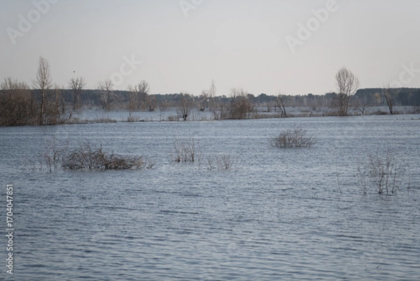 Fototapeta Floodwaters cover a wide area with only tree tops and shrubs visible above the surface. The calm blue water reflects the surrounding landscape under a clear sky