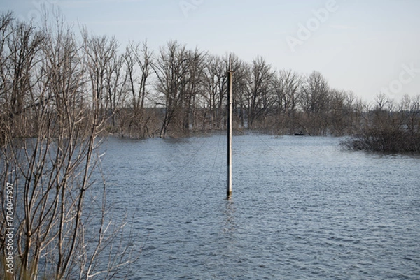 Fototapeta Water covers the ground in a rural area with bare trees lining the horizon. A lone utility pole stands in the middle of the flood, showcasing the extent of the water's reach