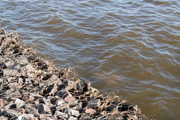 Fototapeta Water with a brownish tint softly touches a rocky shoreline, where stones are secured with a netting material, creating a tranquil riverside setting