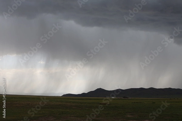 Fototapeta Regen fällt aus dichten Wolken auf die Berge am Horizont der mongolischen Steppe und verdeutlicht die ungezähmte Natur der Landschaft.
