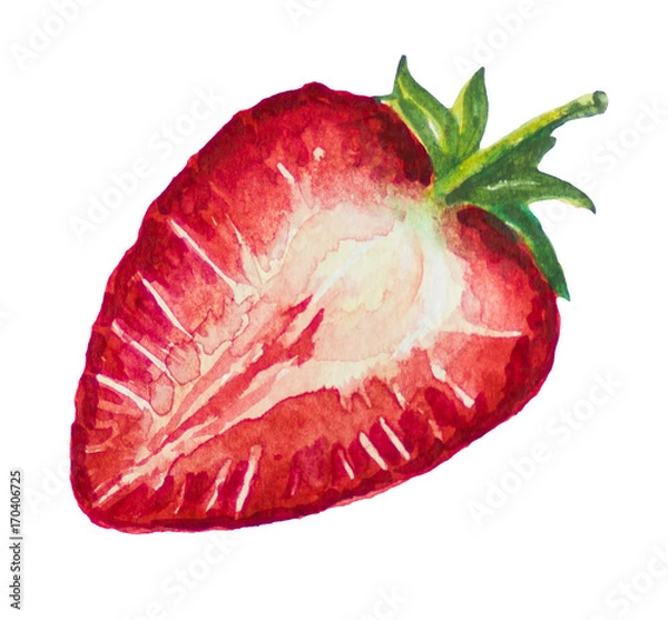 Obraz Half strawberry picture and painted with watercolor.