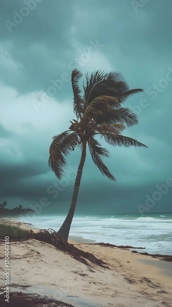 Fototapeta Lone Palm Tree Bending in the Wind on a Stormy Beach ocean waves photo