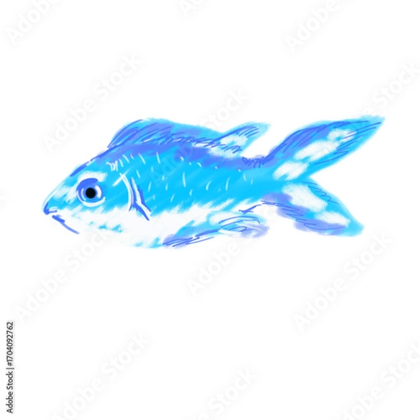 Obraz Blue green damselfish 