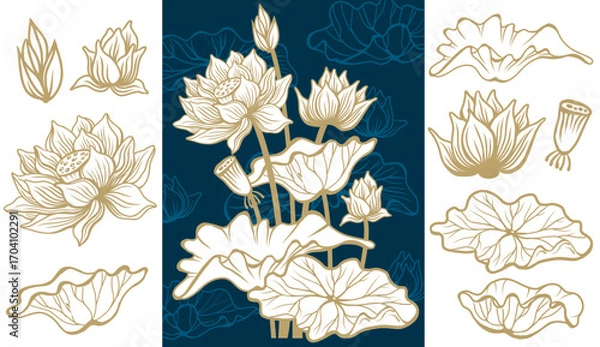 Fototapeta Elegant Lotus Flowers and Botanical Elements