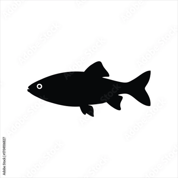Obraz Vector illustration of fish