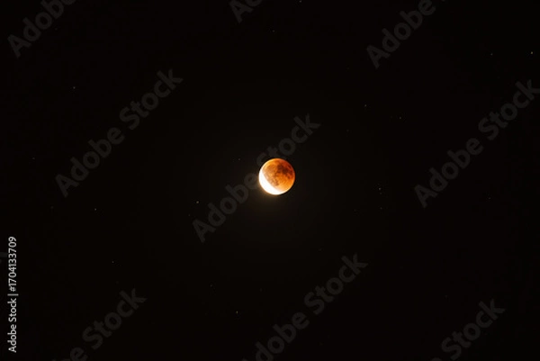 Obraz blood moon 