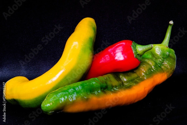 Fototapeta Ein Stillleben  mit Paprikaschoten freigestellt vor schwarzem Hintergrund
