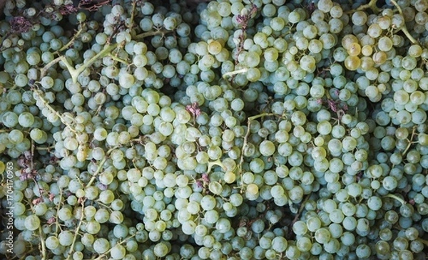 Fototapeta Fresh green peas and vegetables macro closeup