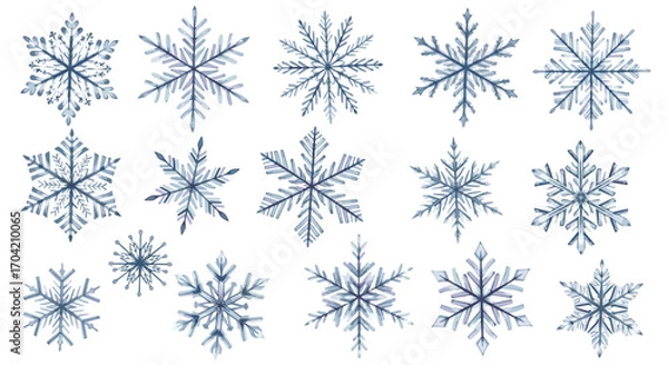 Fototapeta Collection of fifteen watercolor snowflakes in varying shapes and sizes