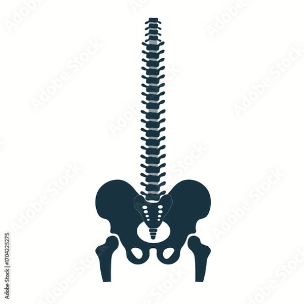 Obraz Spine icons set. Simple set of spine vector icons for web design on white background