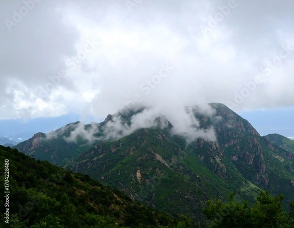 Obraz Misty mountain range