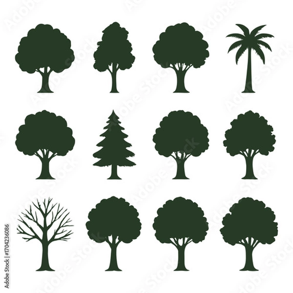 Obraz Set of 12 different tree silhouettes on white background. Vector illustration.