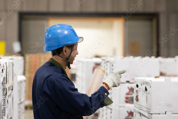 Fototapeta 冷蔵倉庫内で作業をする男性