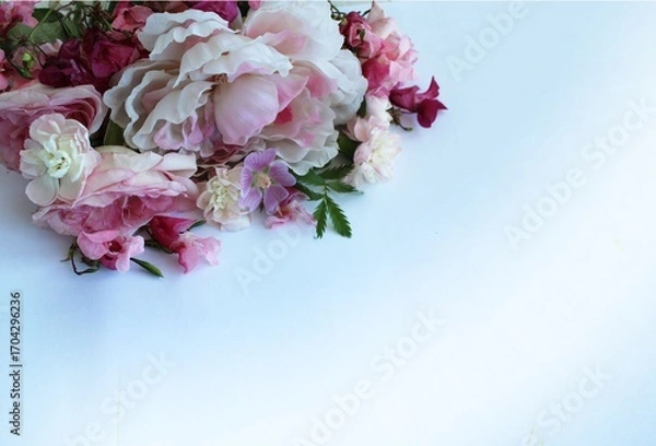 Fototapeta Beautiful pink and white flowers on a blue background with copy space