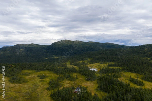 Fototapeta Remote cabin in a serene Nordic mountain and forest landscape.