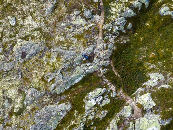 Fototapeta Overhead view of hiker on rugged, mossy mountain terrain.