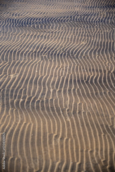 Fototapeta Abstract Sand Ripples: Nature's Wavy Pattern and Texture