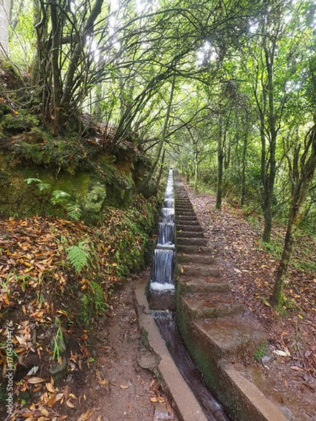 Obraz Balcoes Levada Hiking Trail
